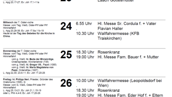 Bild1